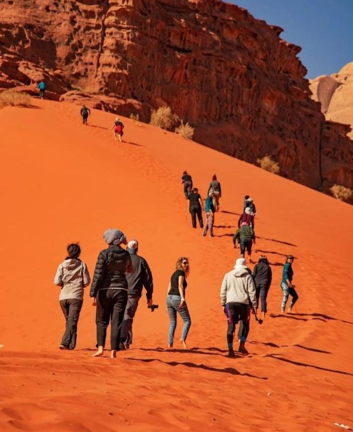 Saleem With Jeep Tour Lägenhet Wadi Rum Exteriör bild