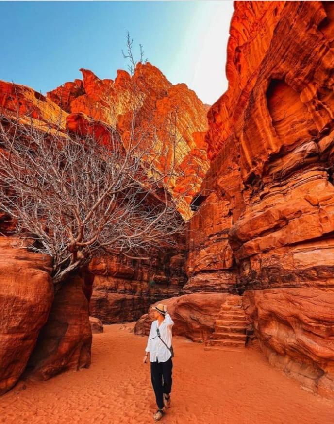 Saleem With Jeep Tour Lägenhet Wadi Rum Exteriör bild